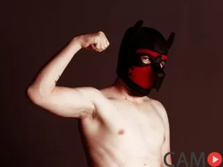 Belacqu96&rsquo;s (Streamate) Photo