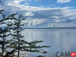 Juniperplay’s (Streamate) Photo