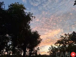 SoloJoe’s (Streamate) Photo