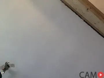 Brando2585’s (Stripchat) Photo