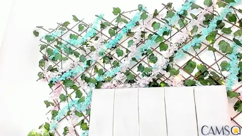 LexiiBloom&rsquo;s (Stripchat) Photo