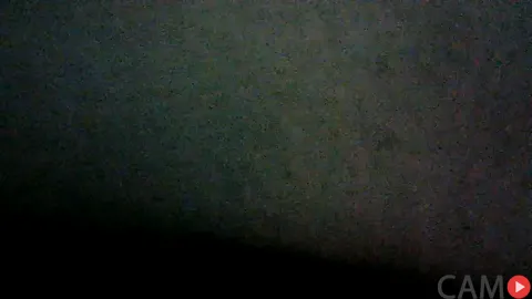 RedLayla&rsquo;s (Stripchat) Photo