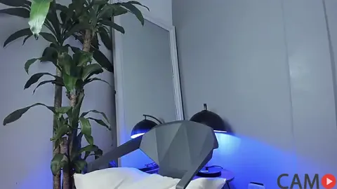 Tylerffoxx’s (Stripchat) Photo